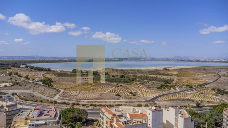 Apartment Sale La Mata, Torrevieja 11