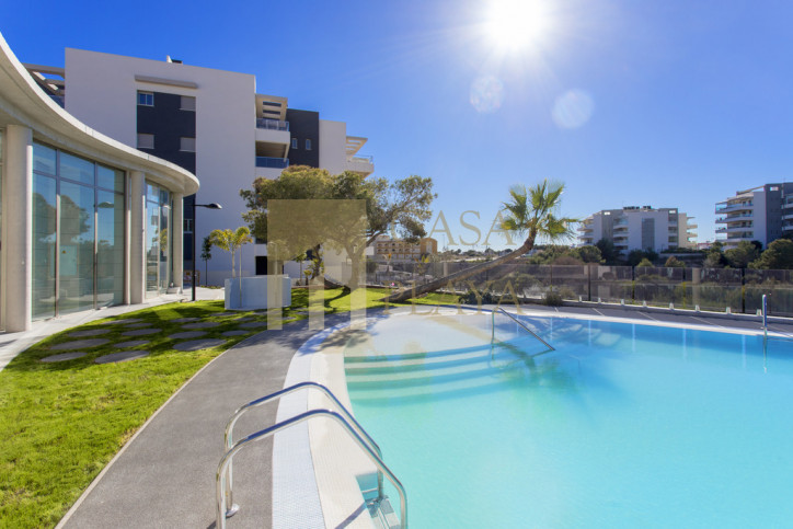 Apartment Sale Los Dolses, Torrevieja 29