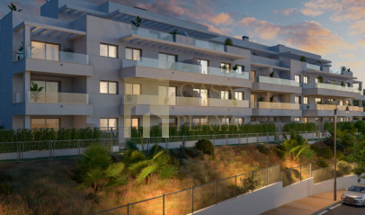 Investment Mijas, Malaga Aralia